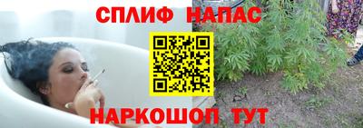стаф Северобайкальск