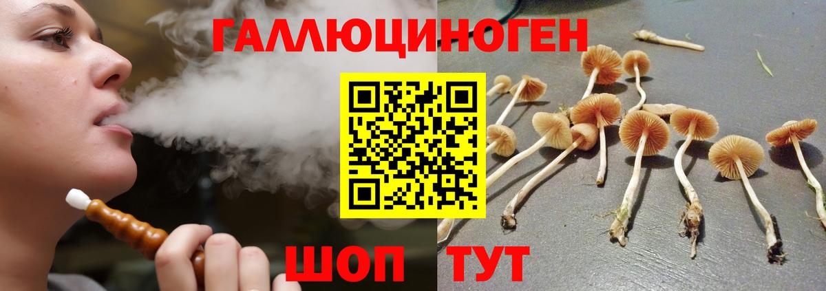 Богданович  Галлюциногенные грибы мицелий  Вход с VPN 